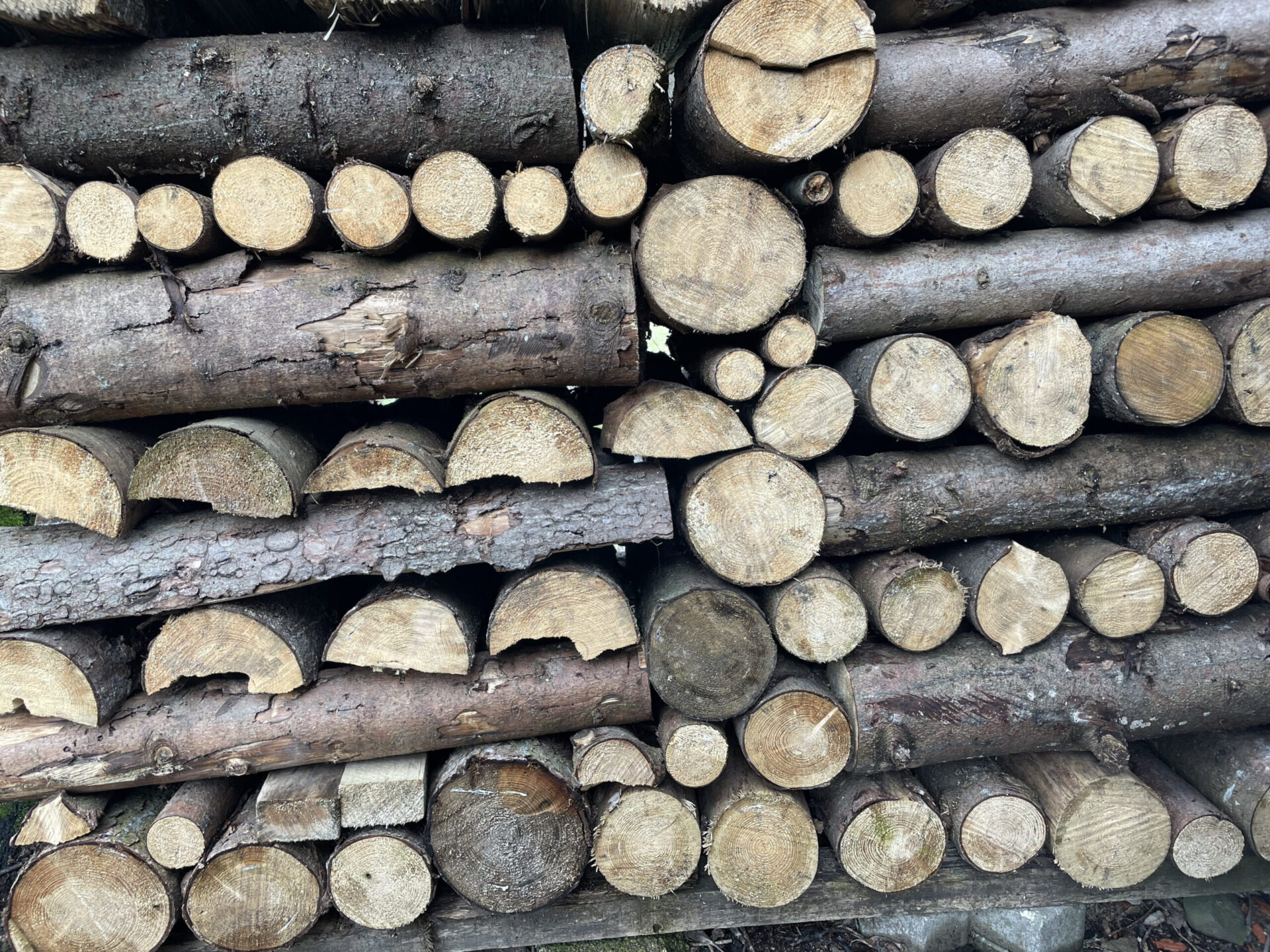 Holzstapel mit verschieden liegenden Baumstämmen